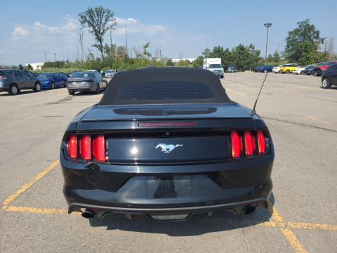 Ford Mustang 2.3 EcoBoost® Premium Convertible АКПП 2015