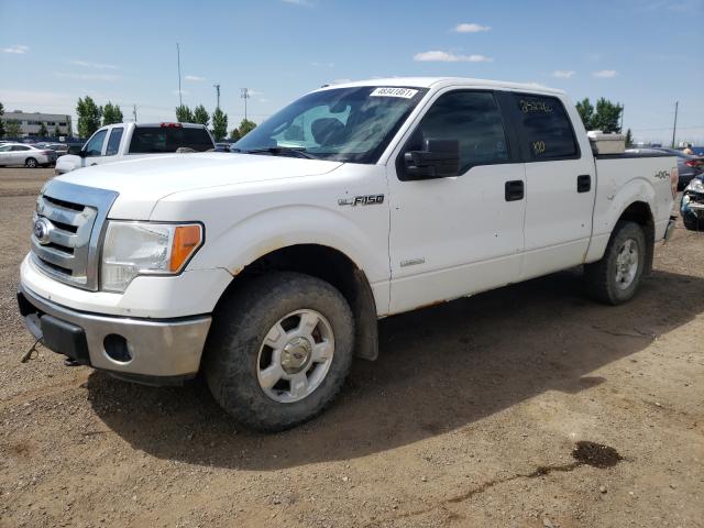Ford F150 SuperCrew 3.5 biturbo 2012 АКПП 6ст